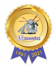 AE Kogovsek_2021_k